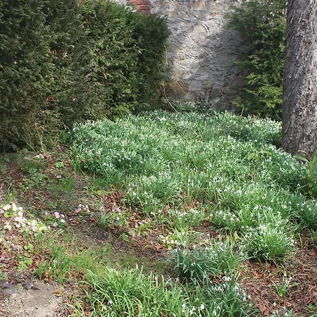 Les Marronniers Saint-Didier-en-Velay