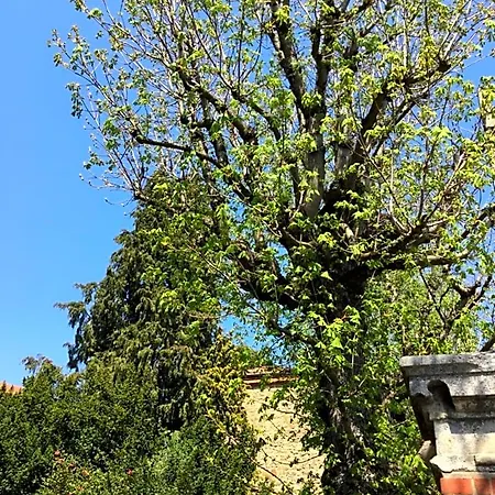 Nocleg ze śniadaniem Les Marronniers Saint-Didier-en-Velay