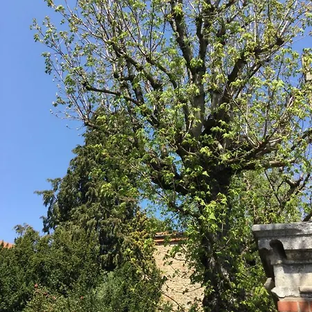 Les Marronniers Nocleg ze śniadaniem Saint-Didier-en-Velay