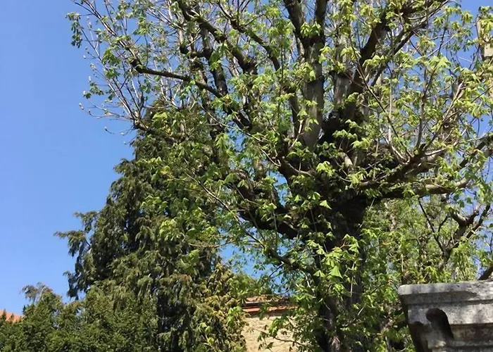 Les Marronniers Saint-Didier-en-Velay