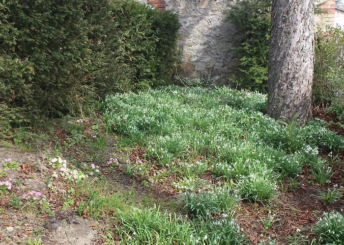 Les Marronniers Saint-Didier-en-Velay