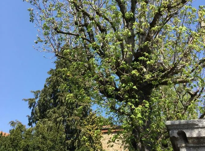 Les Marronniers Bed & Breakfast Saint-Didier-en-Velay